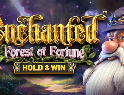 Enchanted: Forest of Fortune